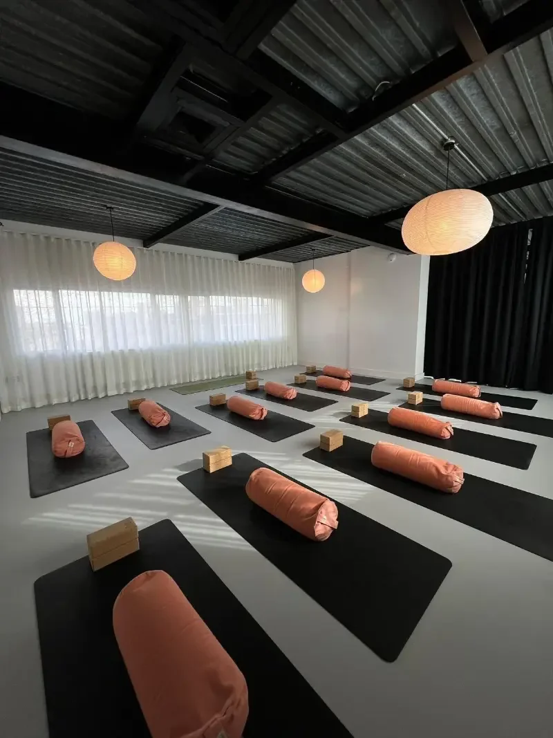 Professional facilitation